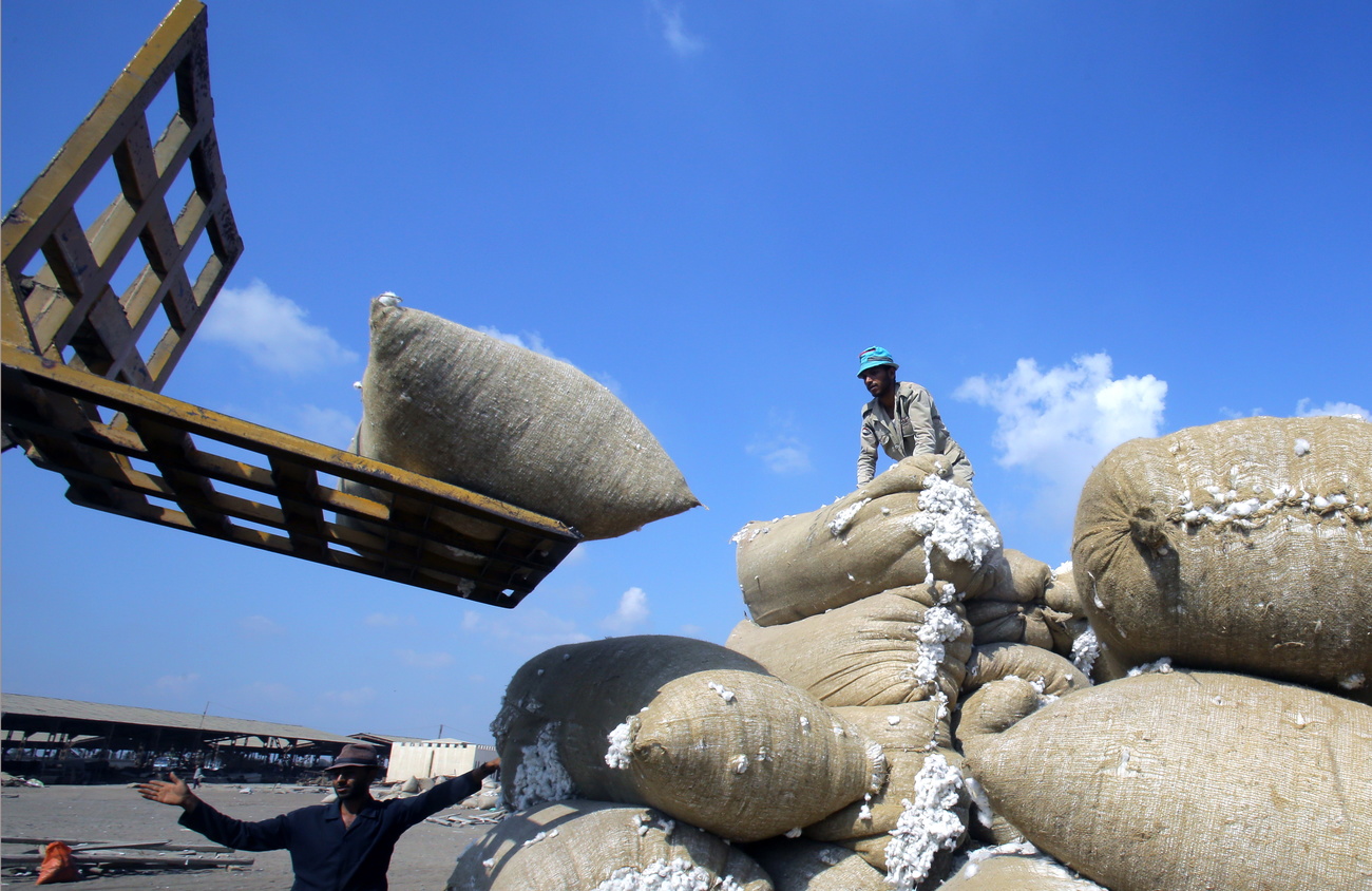 A man processes cotton in Egypt for shipping.