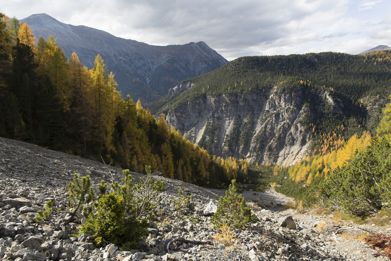 Graubünden Alps