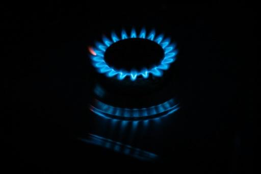 Nueva York, primer estado de EEUU en prohibir el gas en nuevos ...
