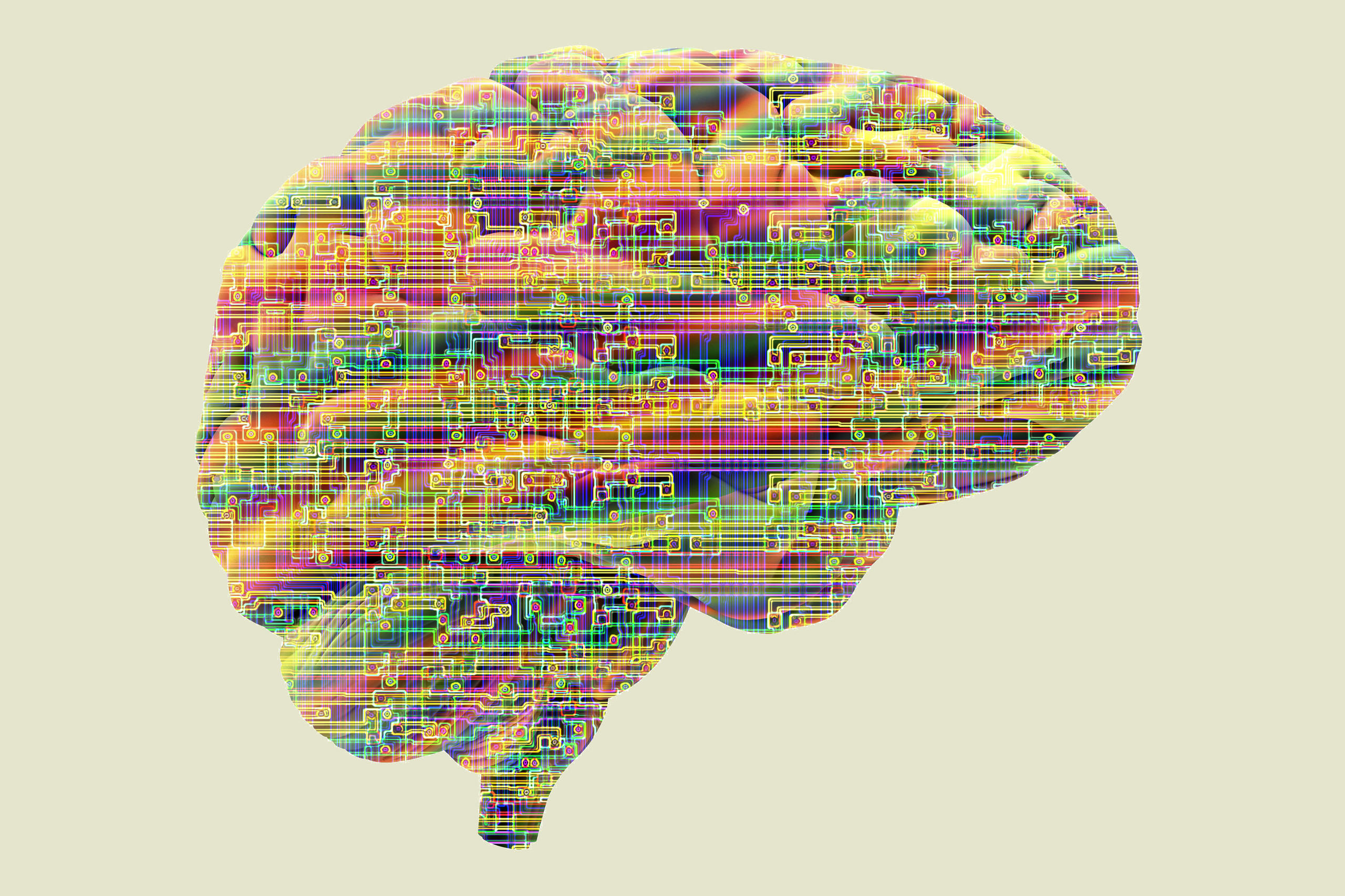 raffigurazione di un cervello umano
