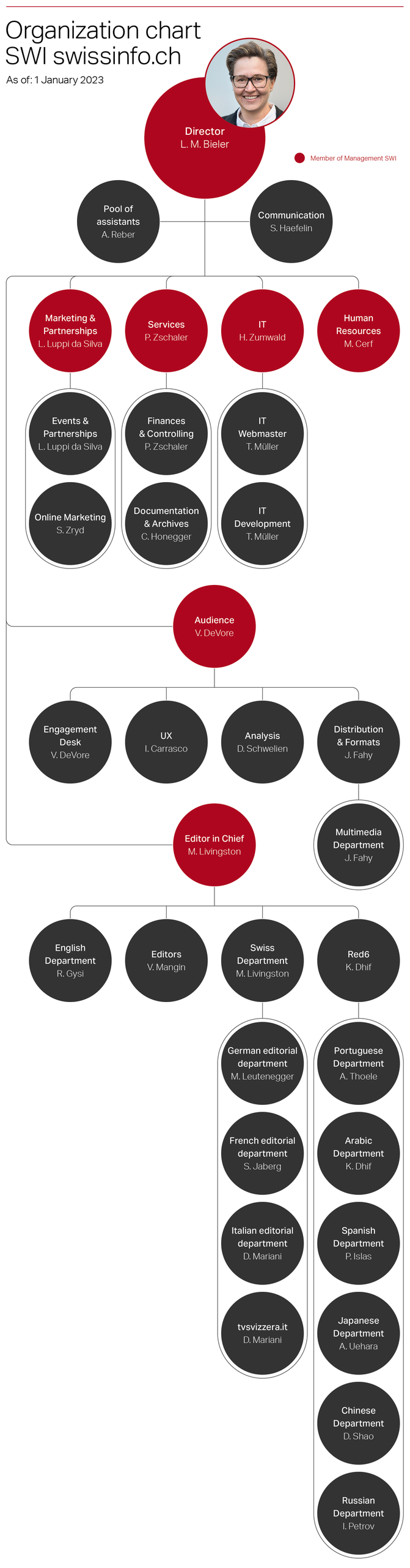 Graphic SWI Organigram