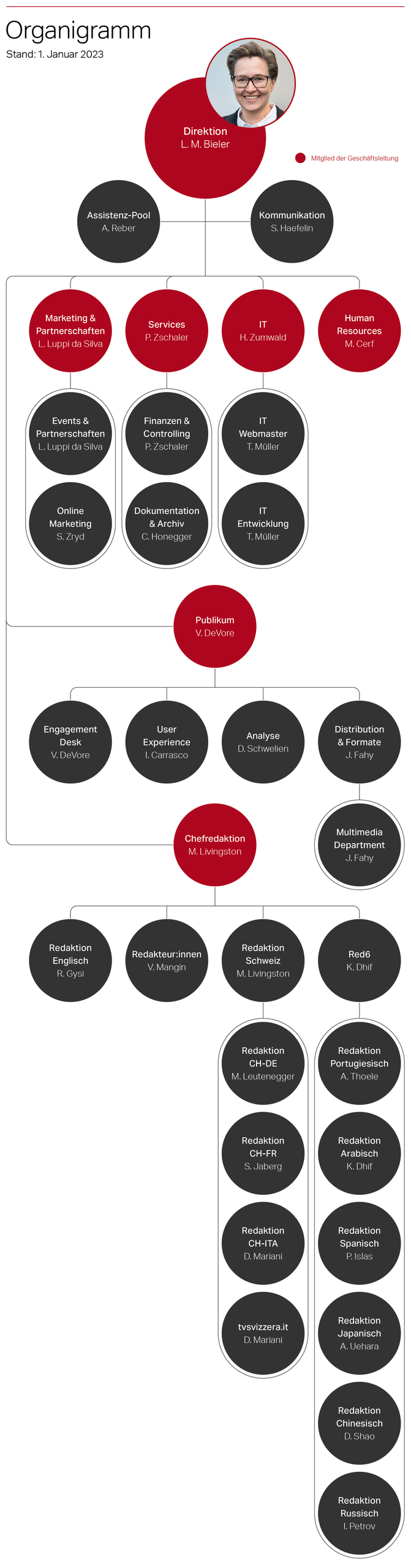 Grafik SWI Organigramm