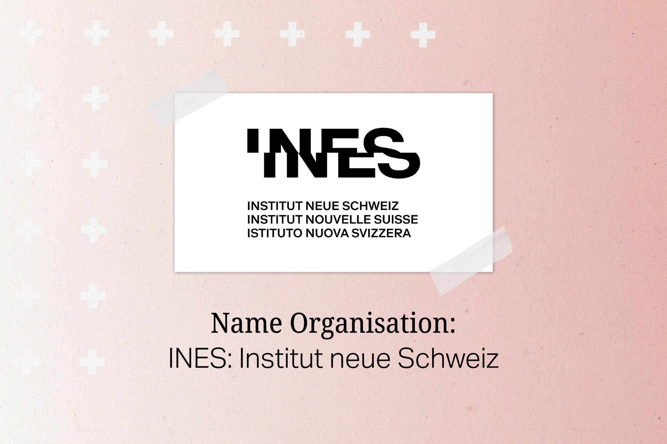 新時代スイス研究所INES