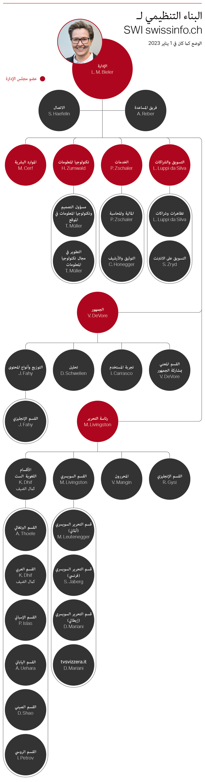البناء التنظيمي