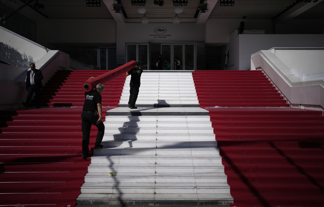 Laying the red carpet at Cannes