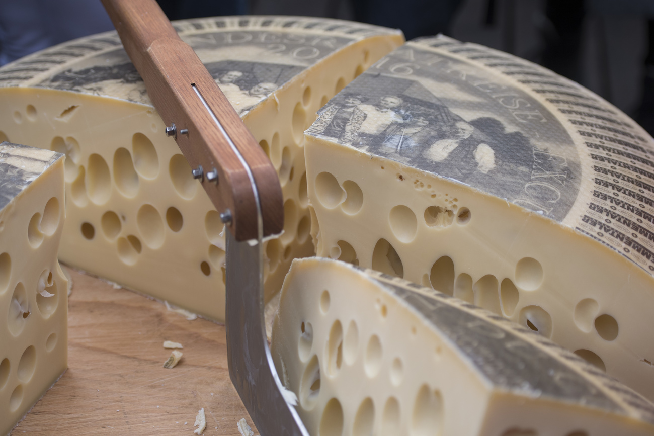 Una forma di Emmentaler tagliata in più pezzi dove si vedono i famosi buchi nel formaggio.