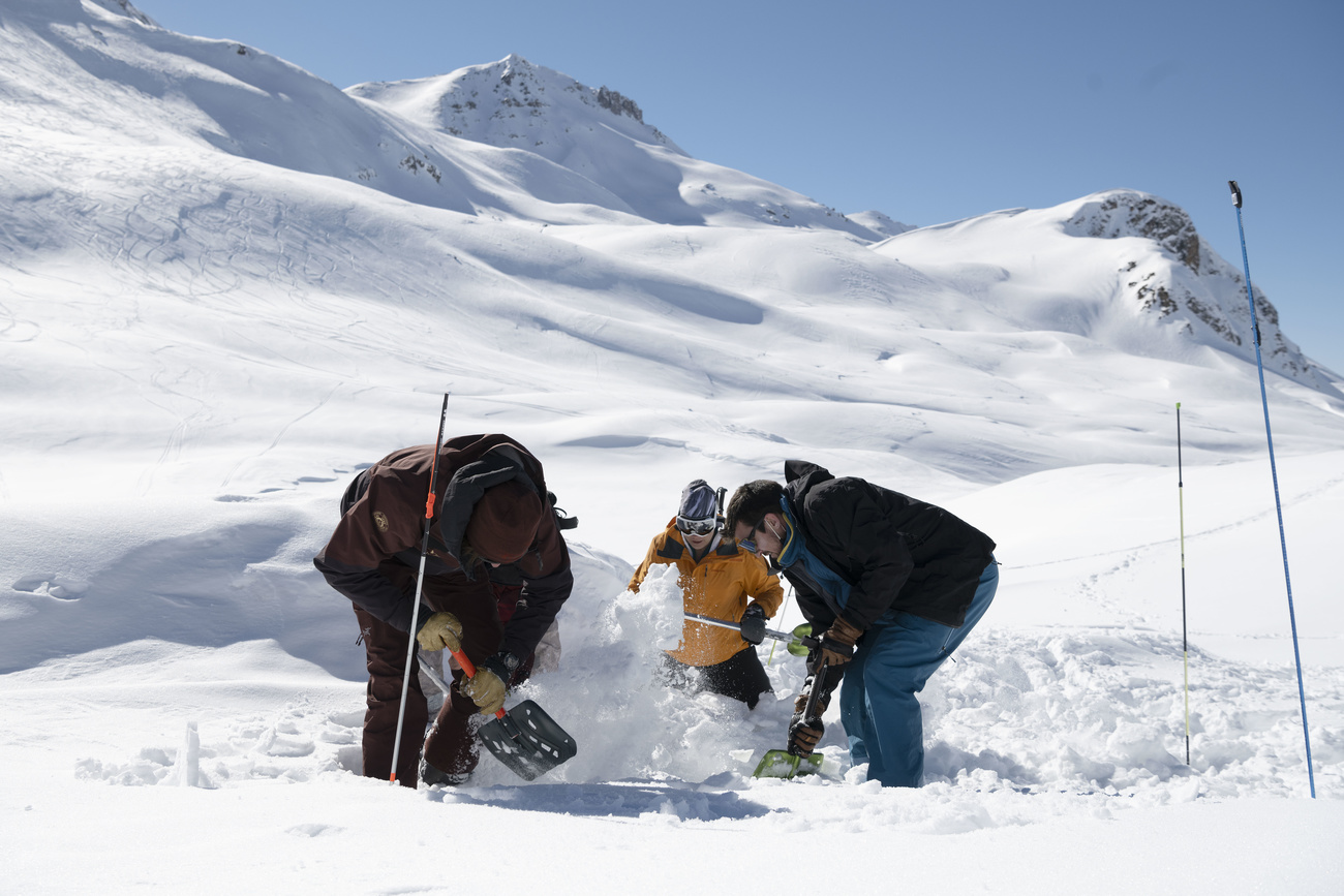 Photo of three people in the snow doing an avalanche course