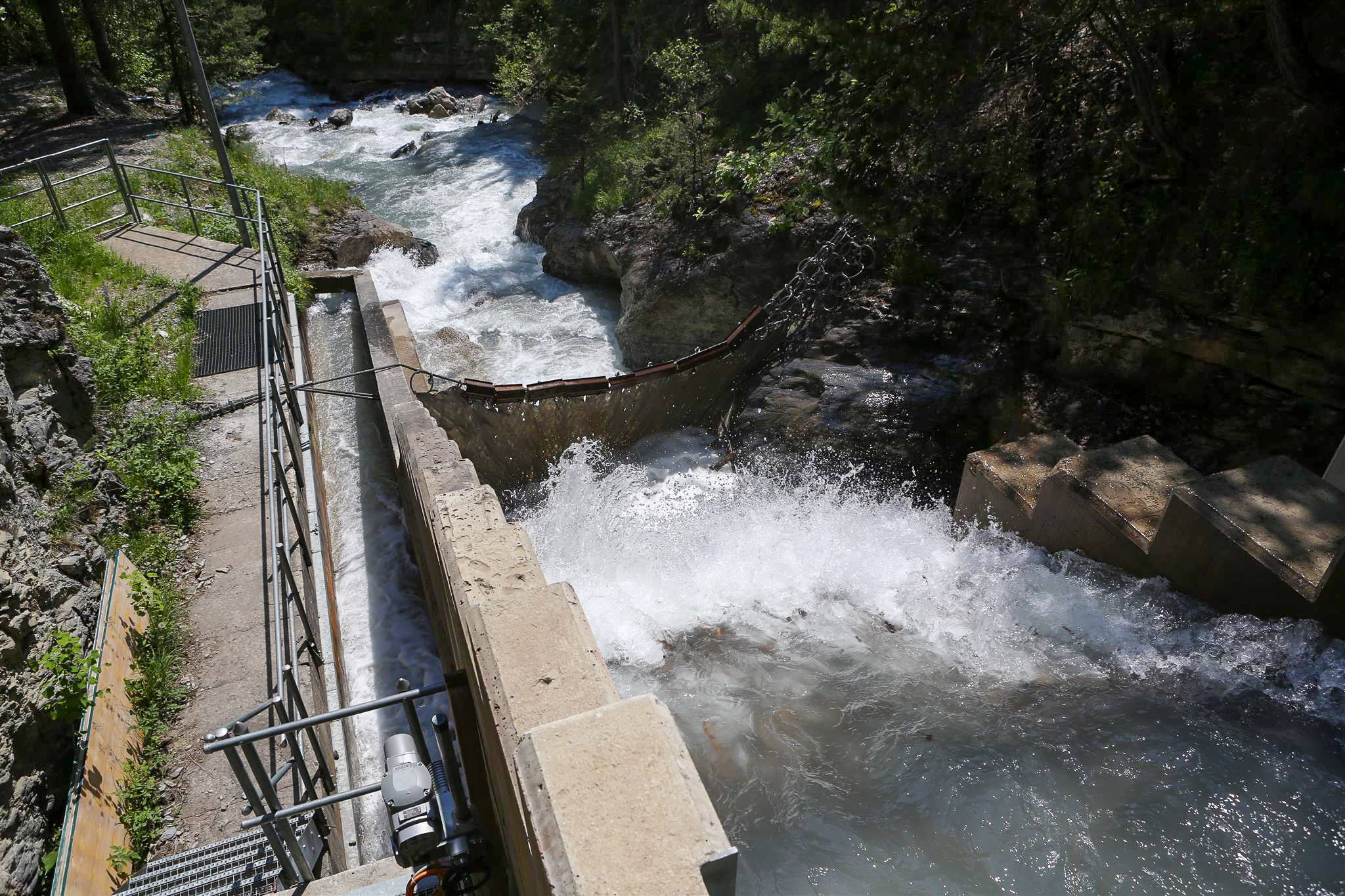Rivière de montagne avec beaucoup de débit d eau