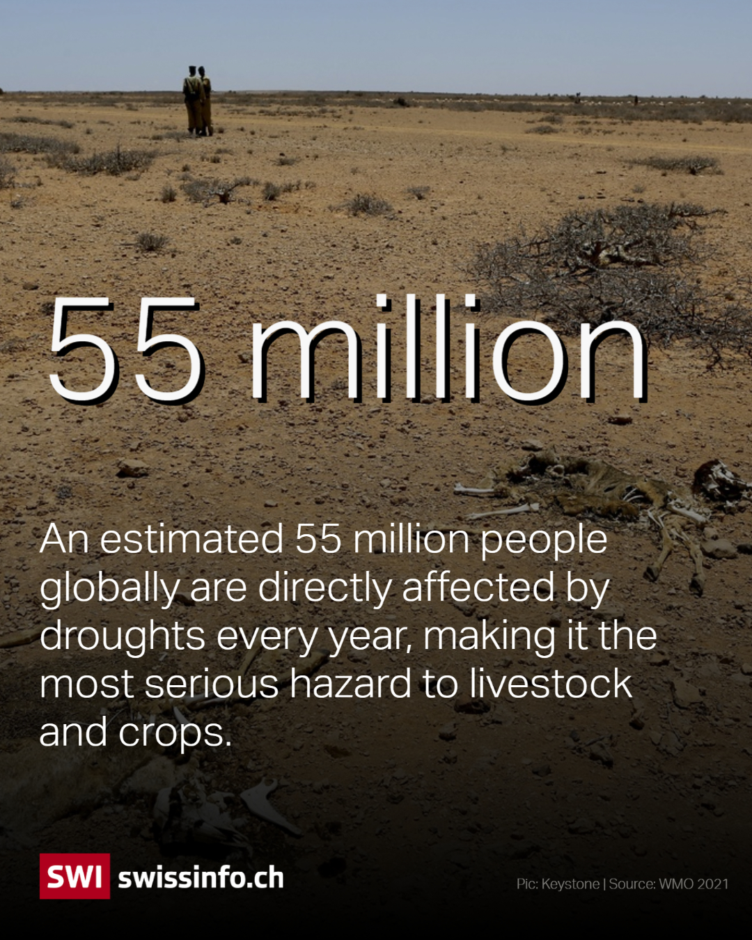 55 million people globally are affected by droughts