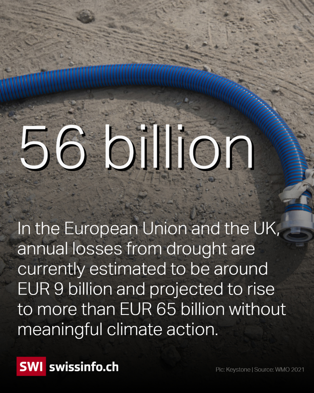 The European Union and UK will experience up to 65 billion in losses due to droughts
