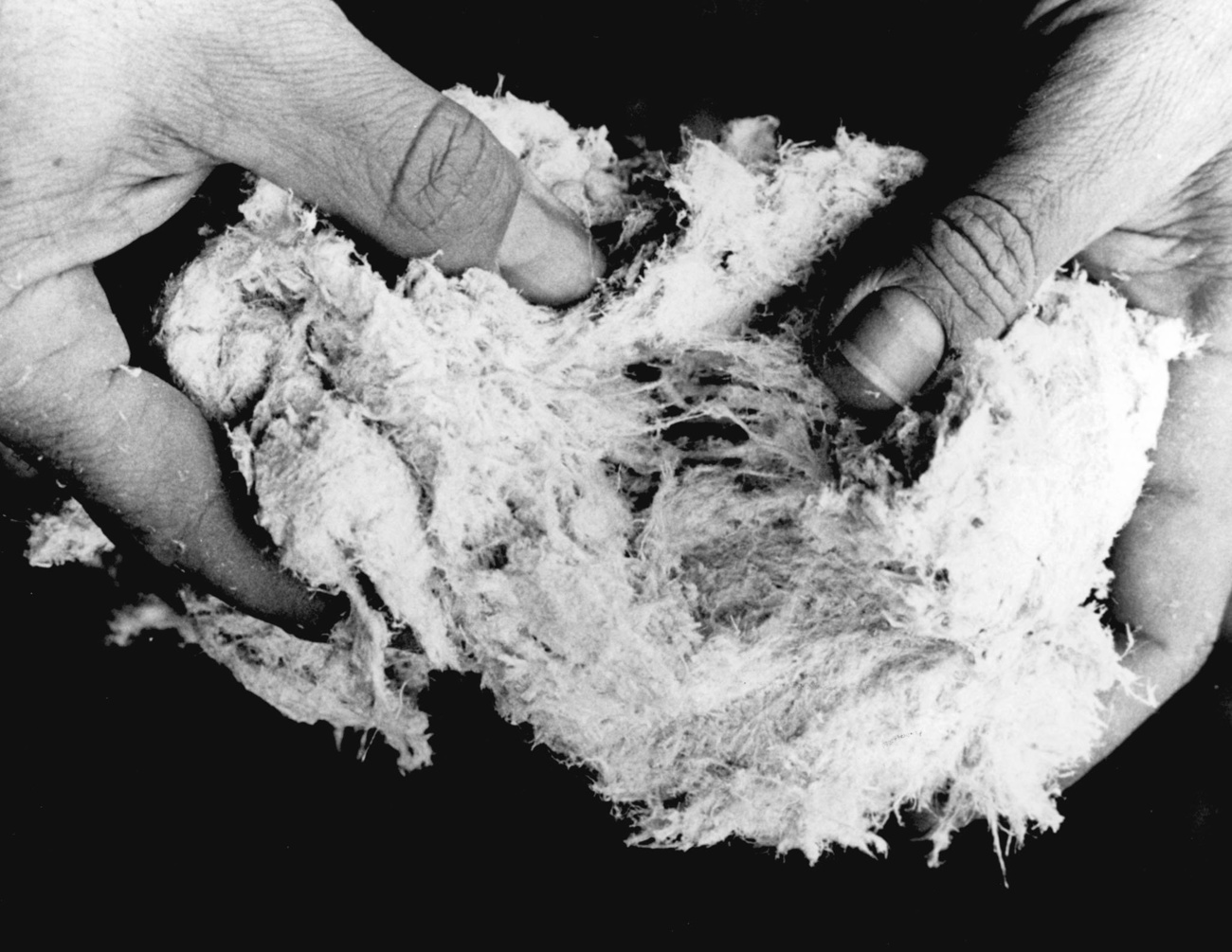 Immagine bianco e nero di mani con fibre di amianto.