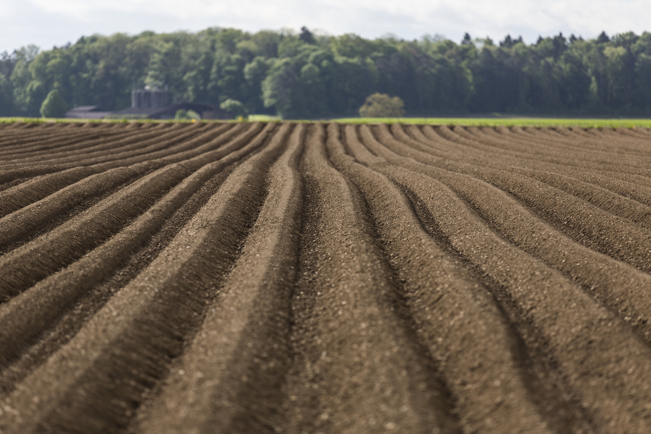 A ploughed field in Switzerland.