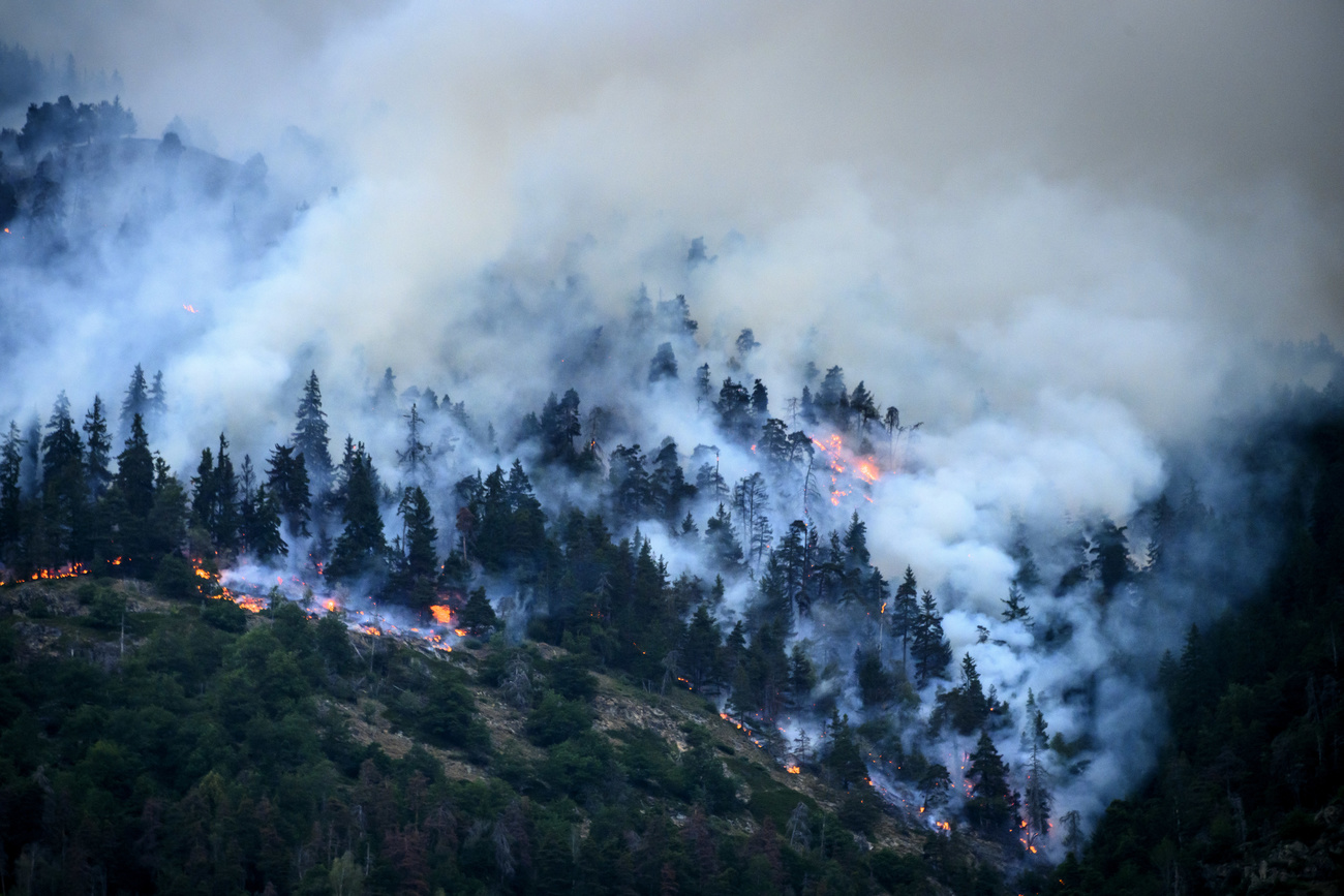 Forest fire in canton Valais, Switzerland