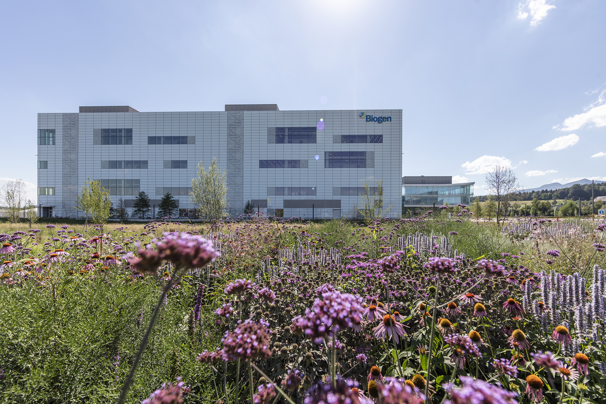 Biogen factory