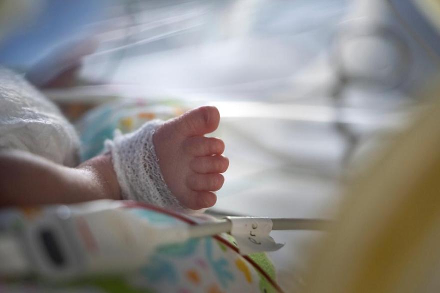 تمديد عطلة الامومة في الجزائر CNAS بـ 50+168 يوم 
