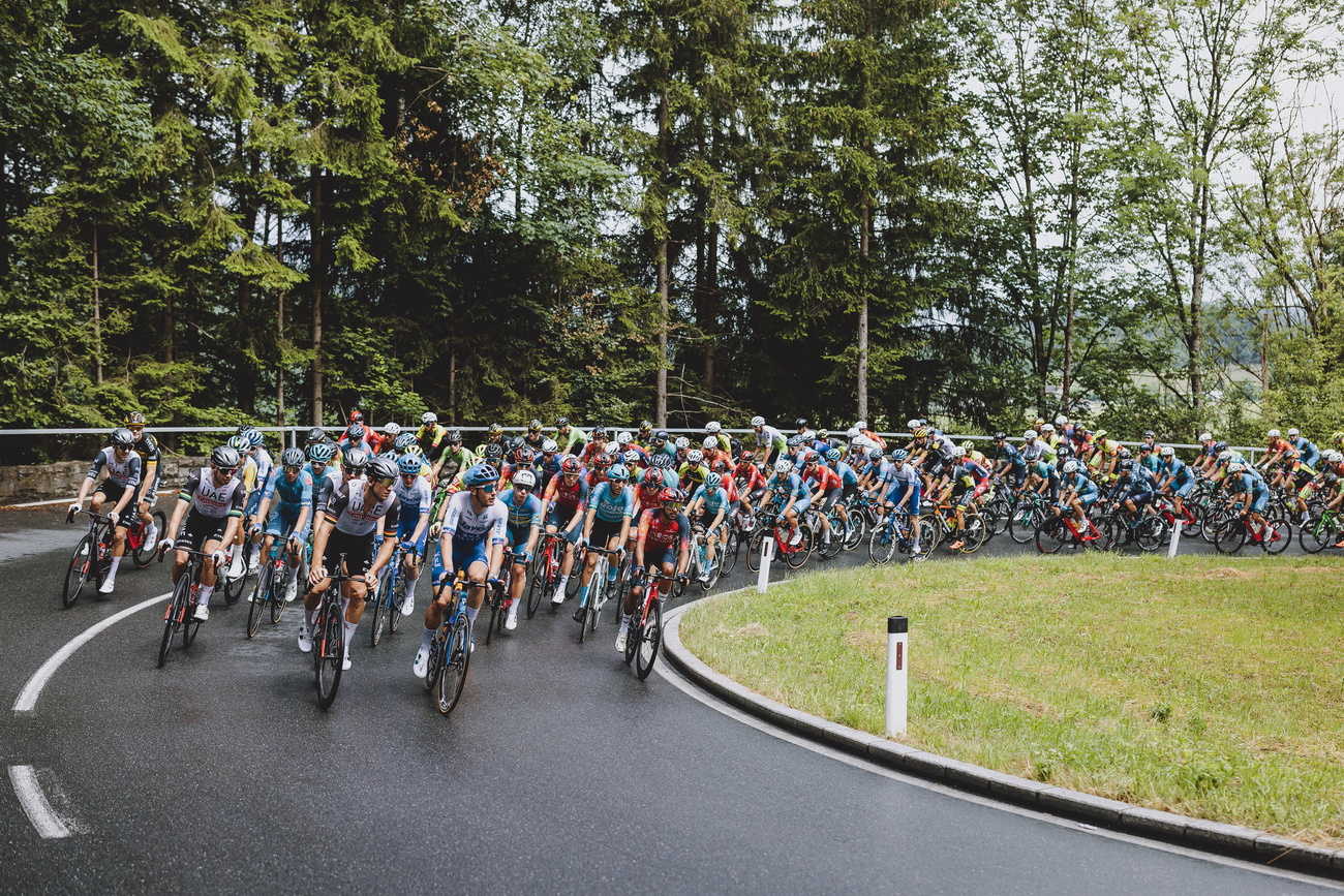 cycling peloton