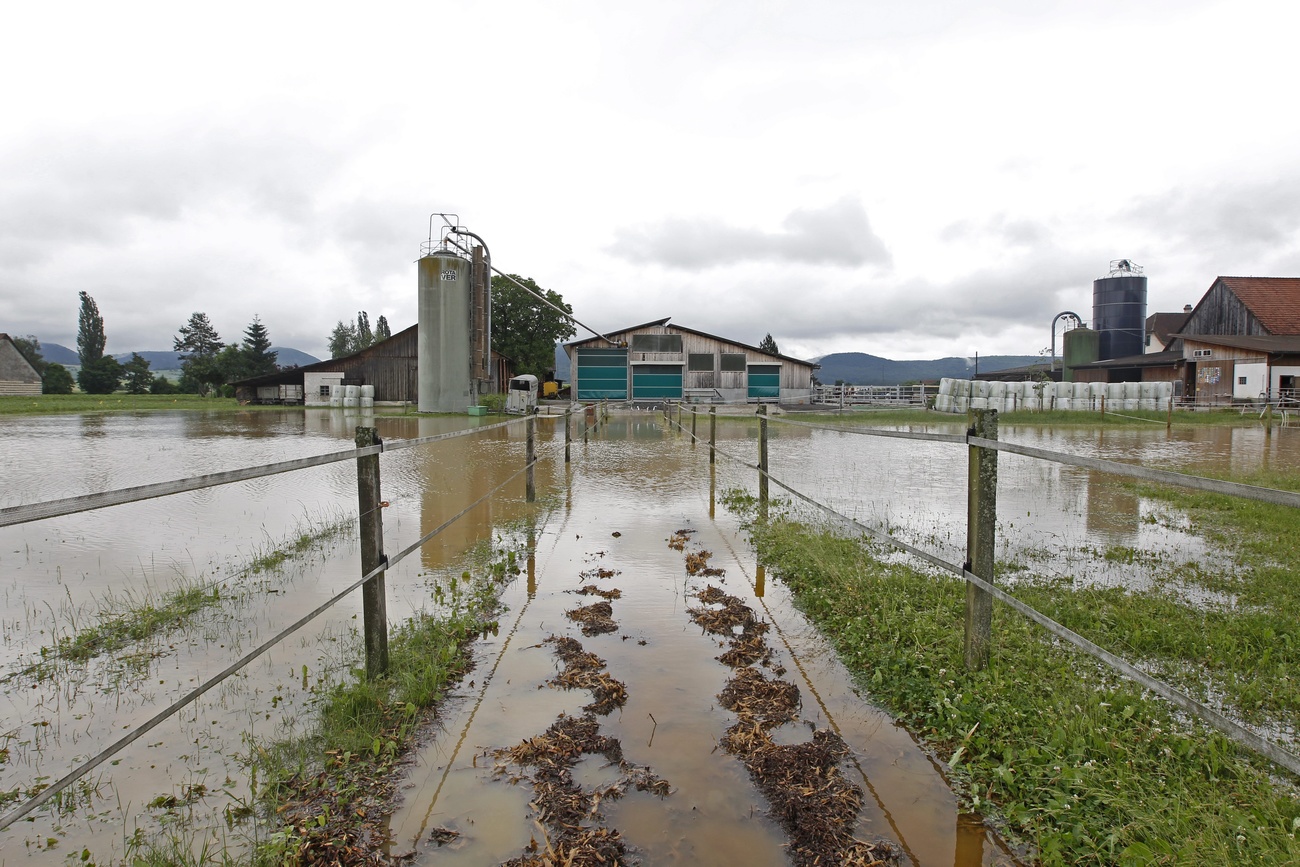 Colture sotto l acqua nel Canton Sciaffusa.