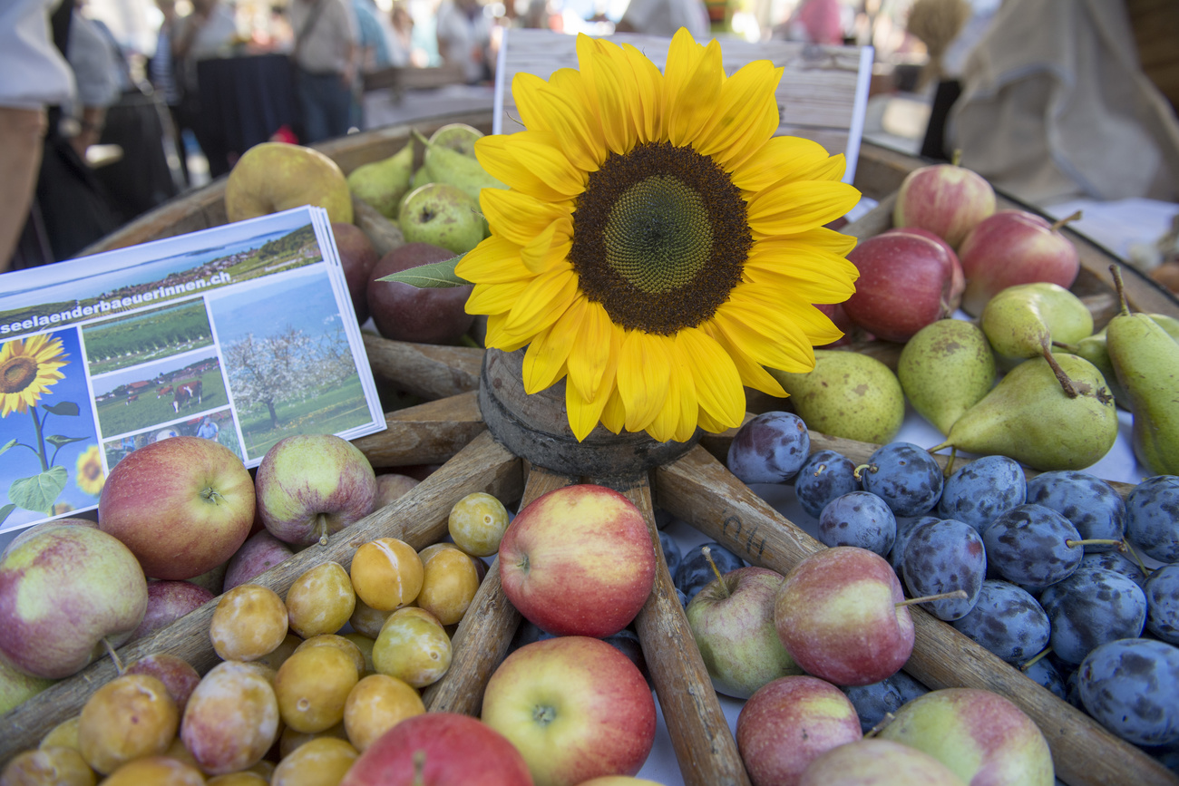 Una bancherella di frutta al mecato in Piazza federale a Berma.