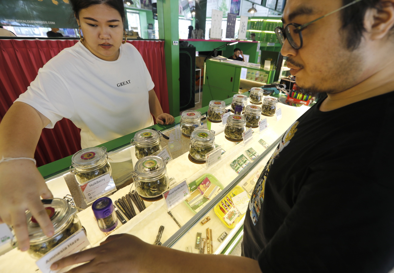 2022年、タイは大麻を禁止薬物リストから削除した