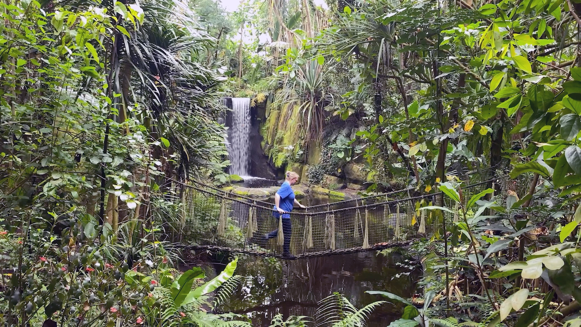 Forscherin auf einer Hängebrücke in einer Regenwald-Halle
