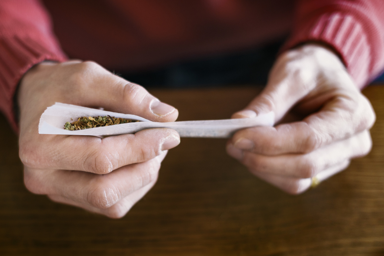 hands of a person rolling a cannabis joint