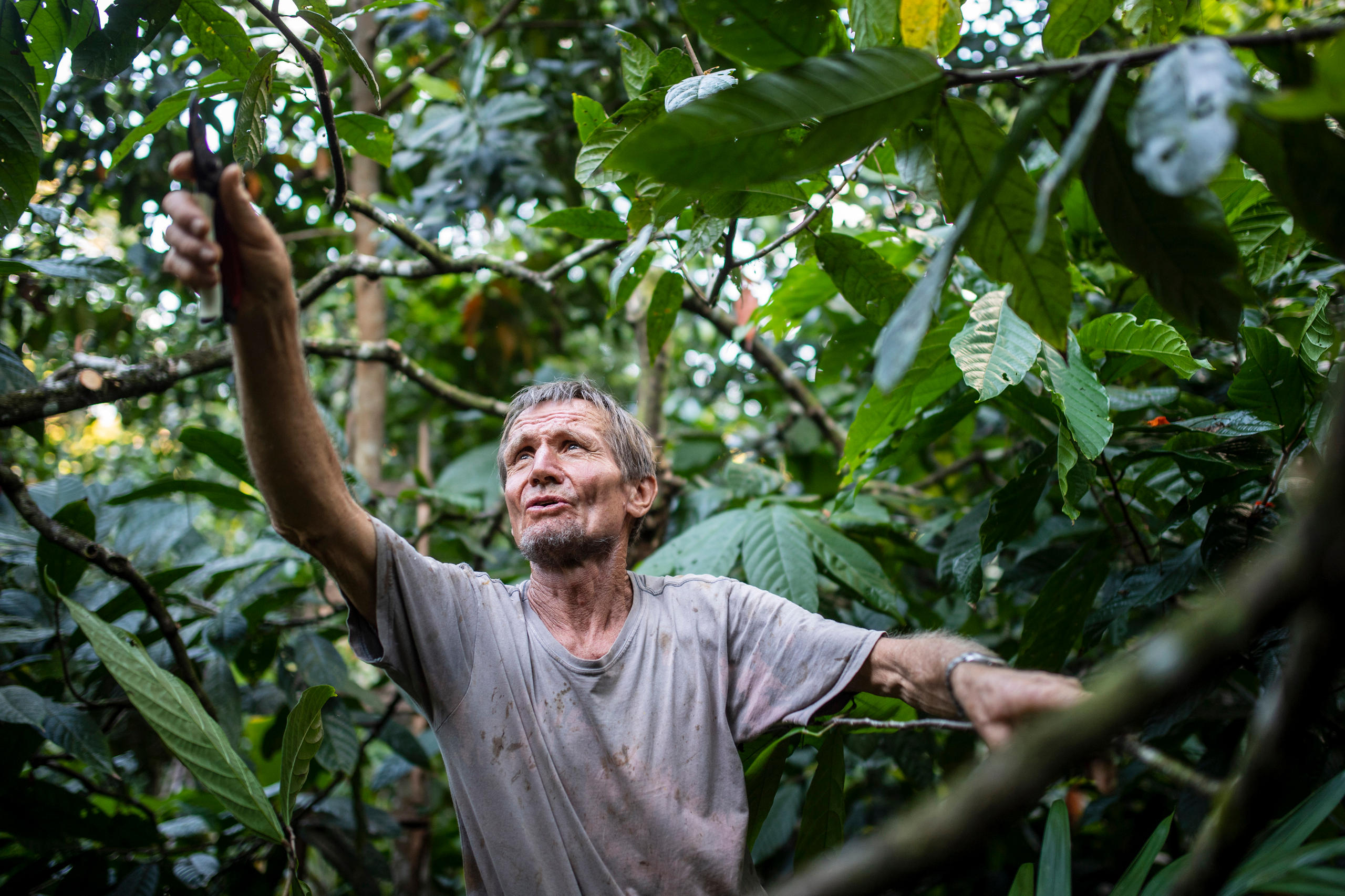 Ernst Götsch dans la nature