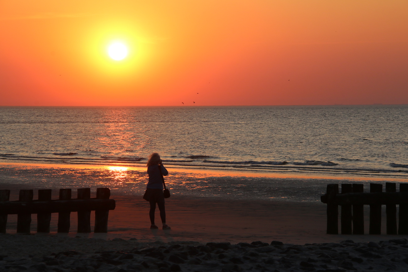 orange sunset above sea