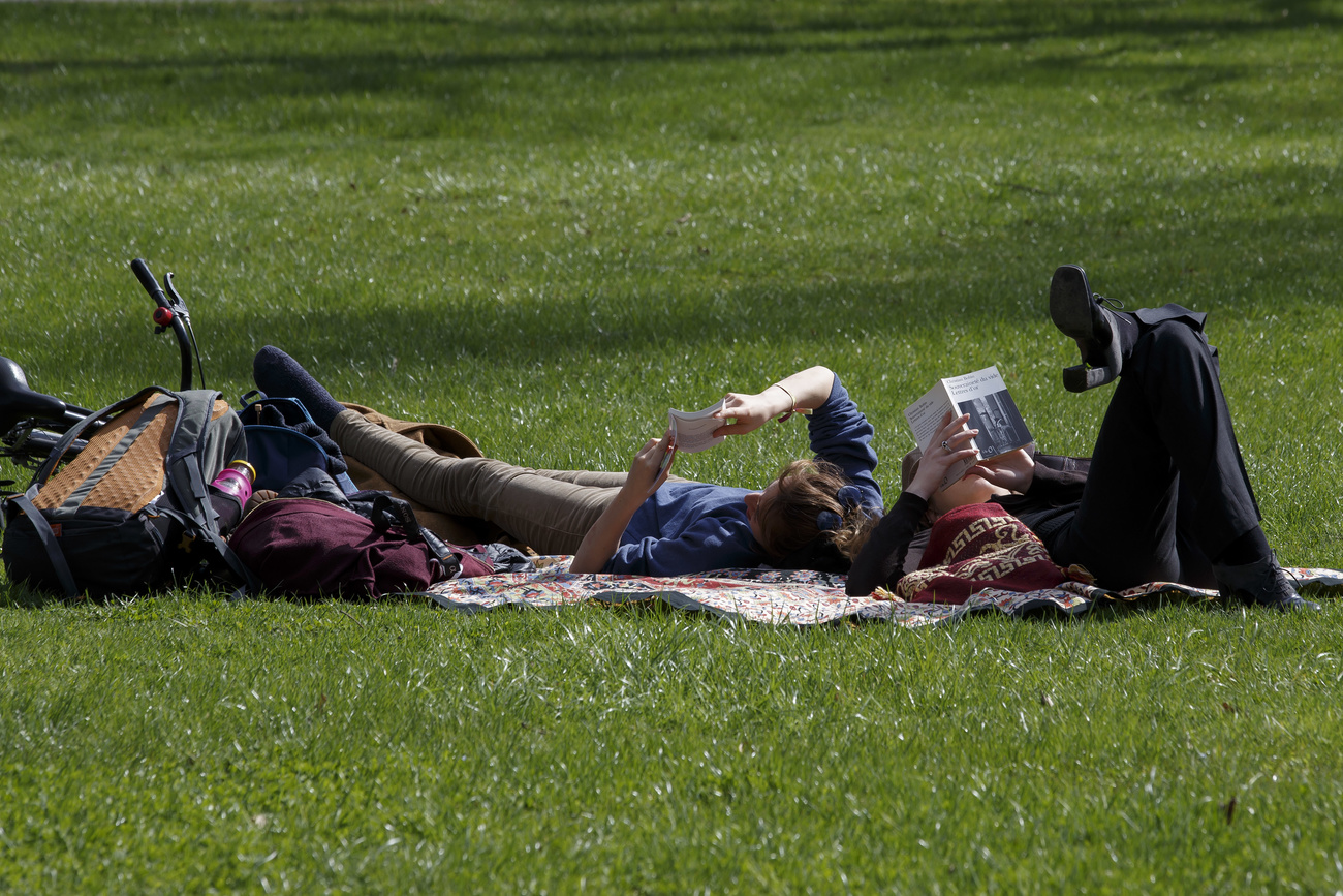 due persone sdraiate su un prato leggono