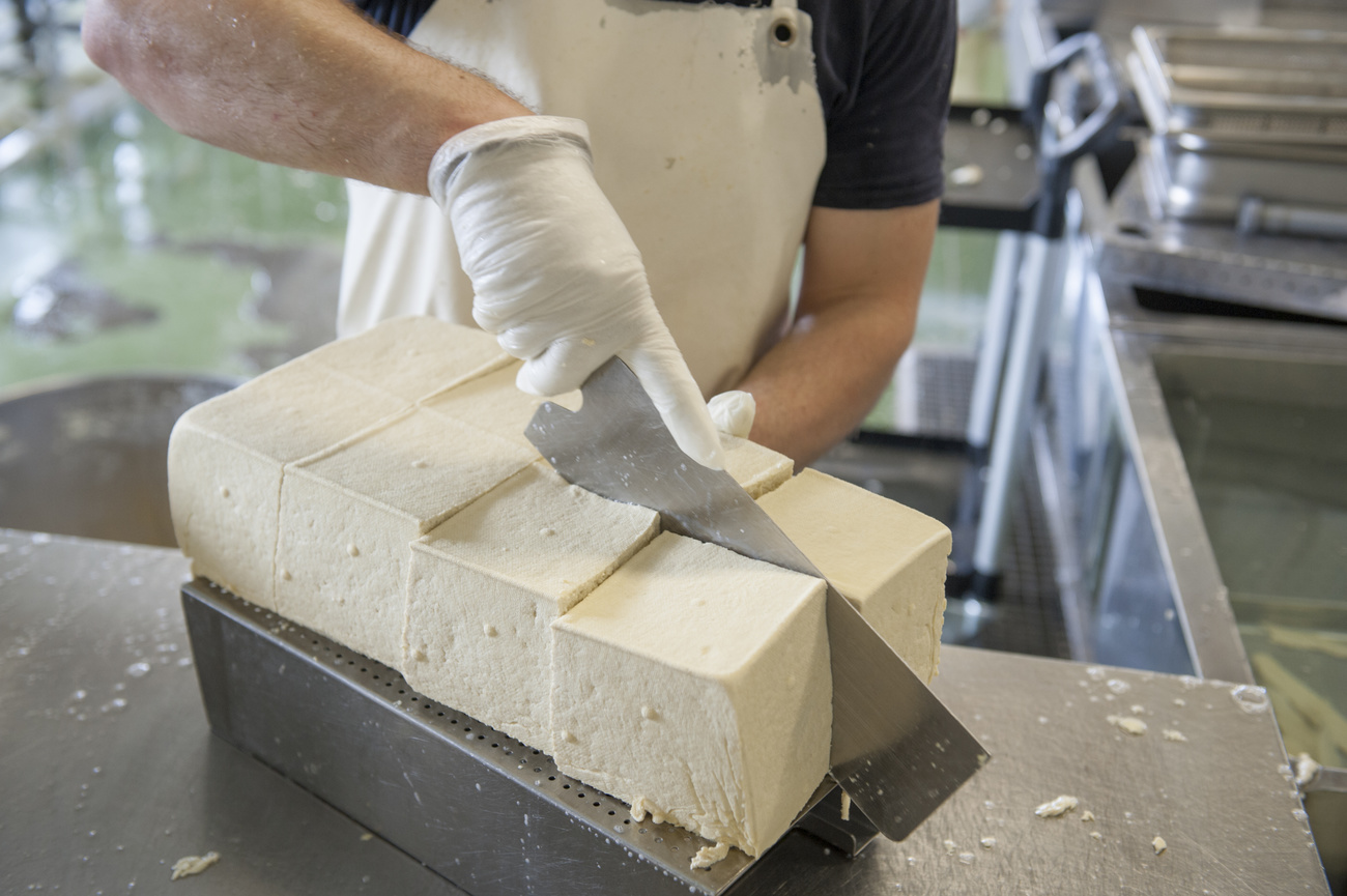 tofu