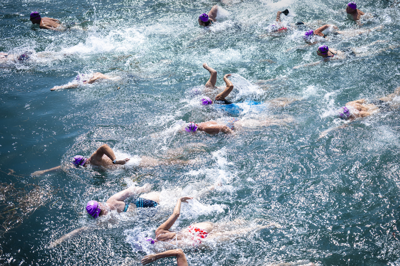 Gruppo di persone nuota nel lago di Zurigo per l annuale traversata di massa.