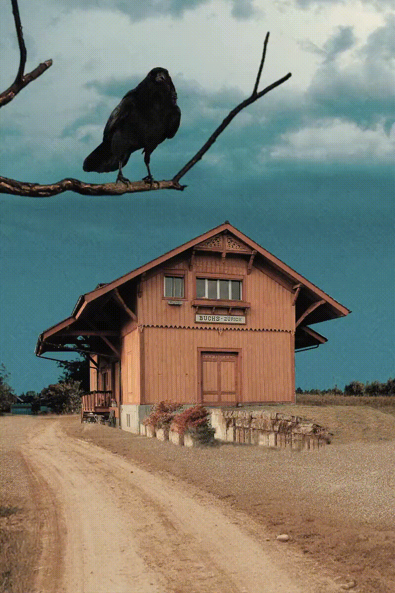 abandoned rail line, with old building and crow in a tree