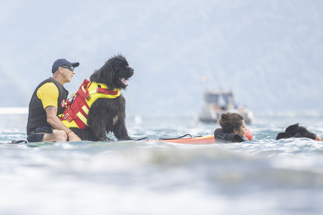 湖の上に浮かぶ救助犬と救命士