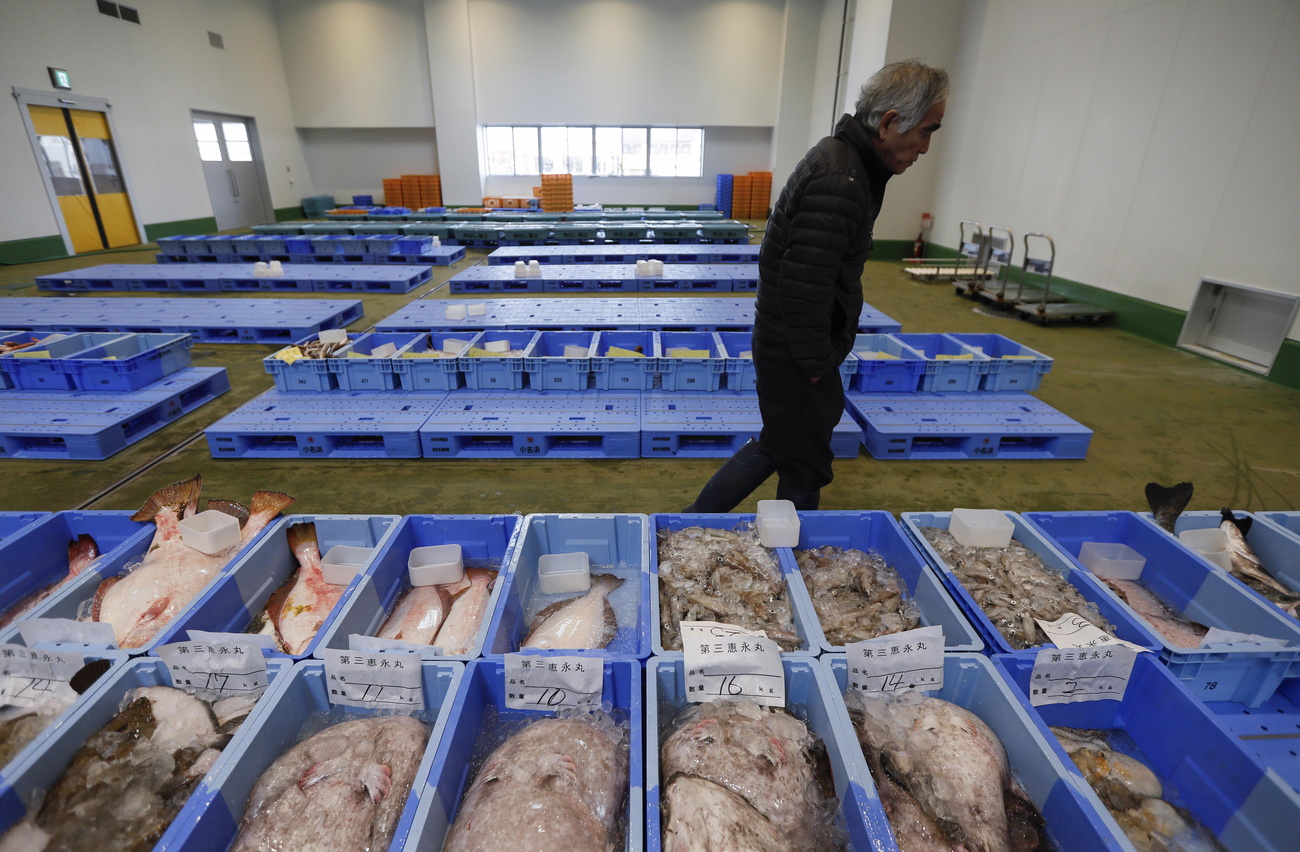 Mercato del pesce di Fukushima