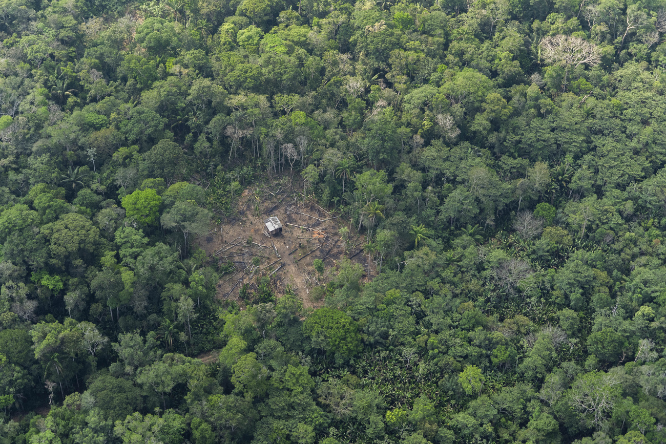 Eine Hütte mitten im Regenwald des Amazonas