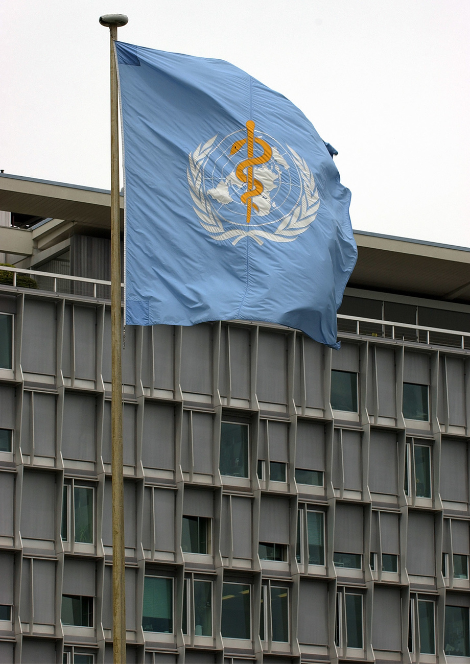 World health organization in Geneva