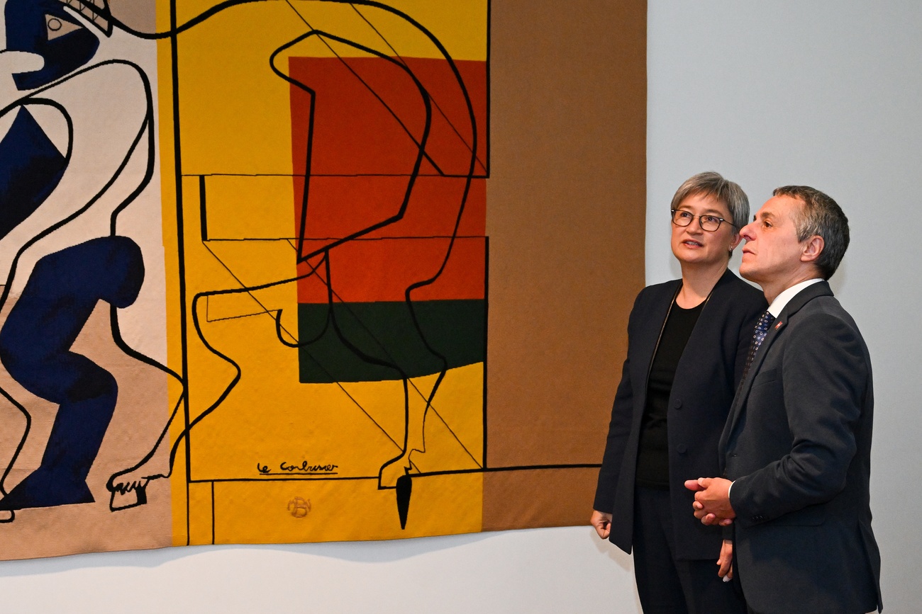 ignazio cassis e penny wong