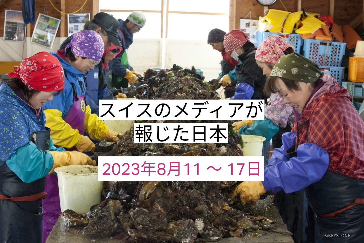 作業をする漁業関係者