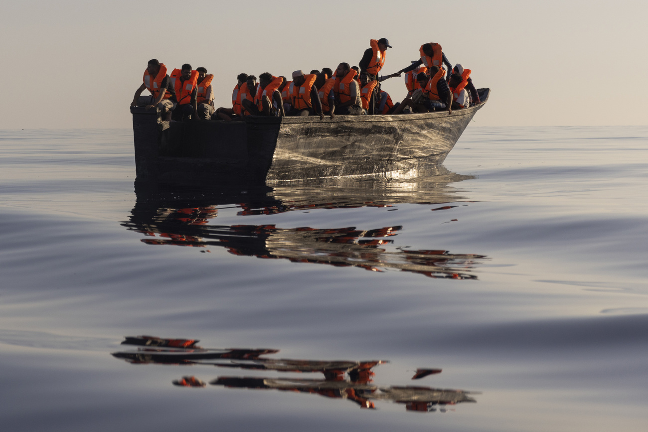 migranti