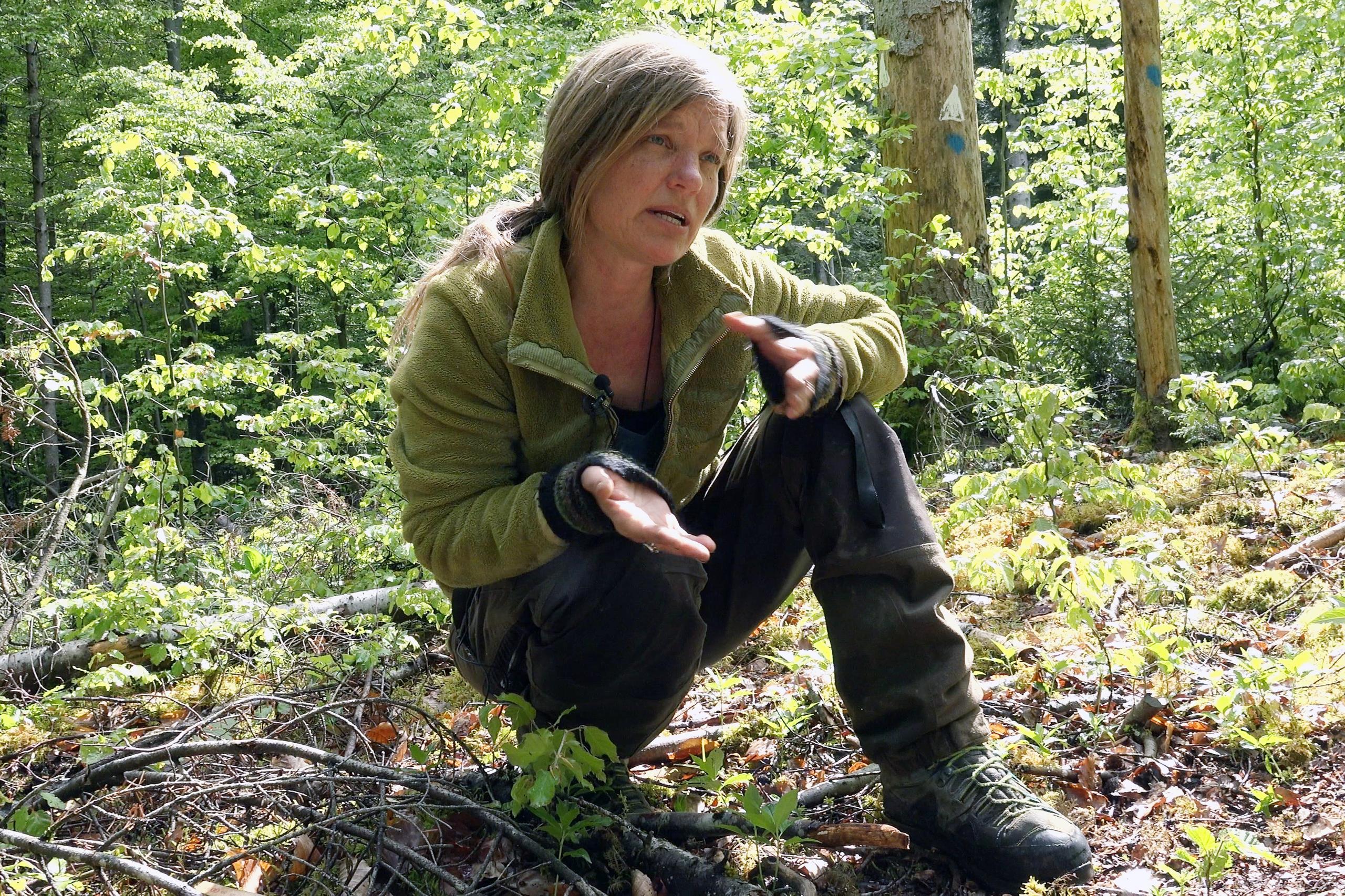 Botanikerin Nicole Imesch kauert im Wald und zeigt auf ein junges Bäumchen