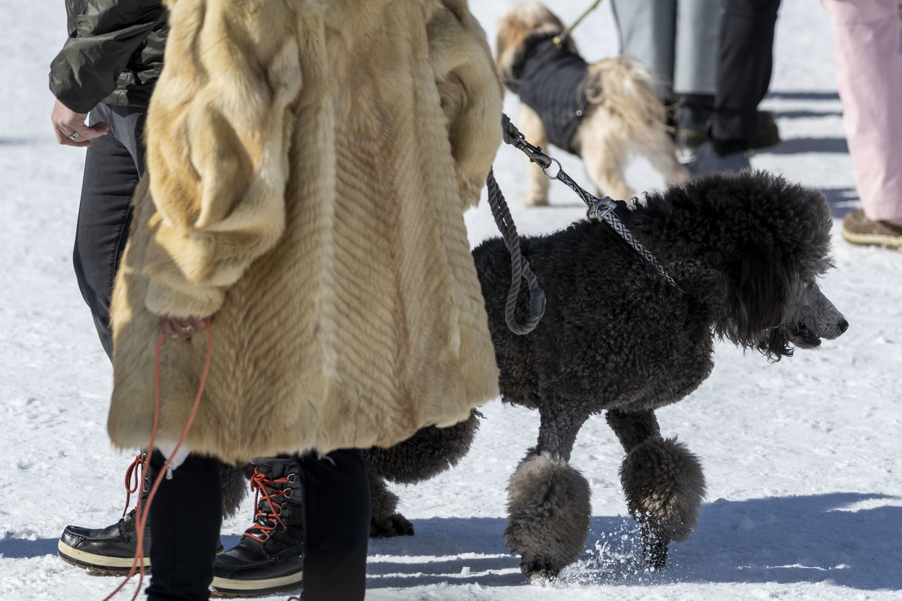donna con pelliccia e cane