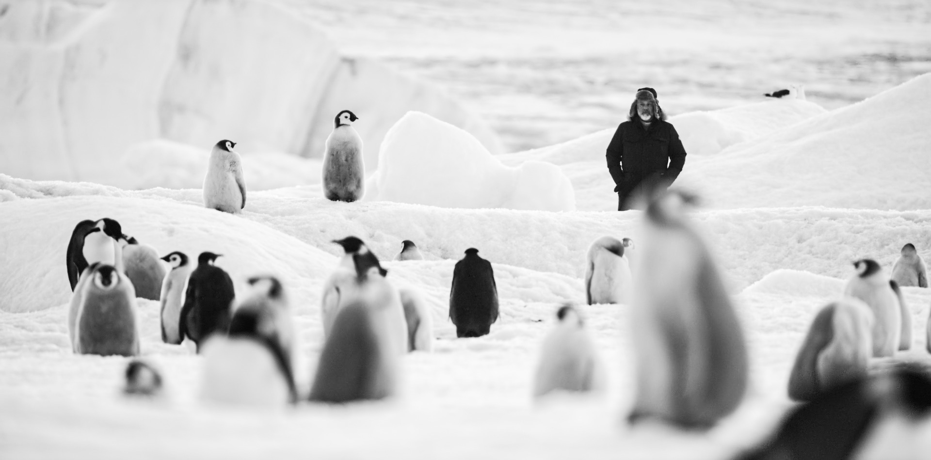 Luc Jacquet avec des manchots en Antarctique
