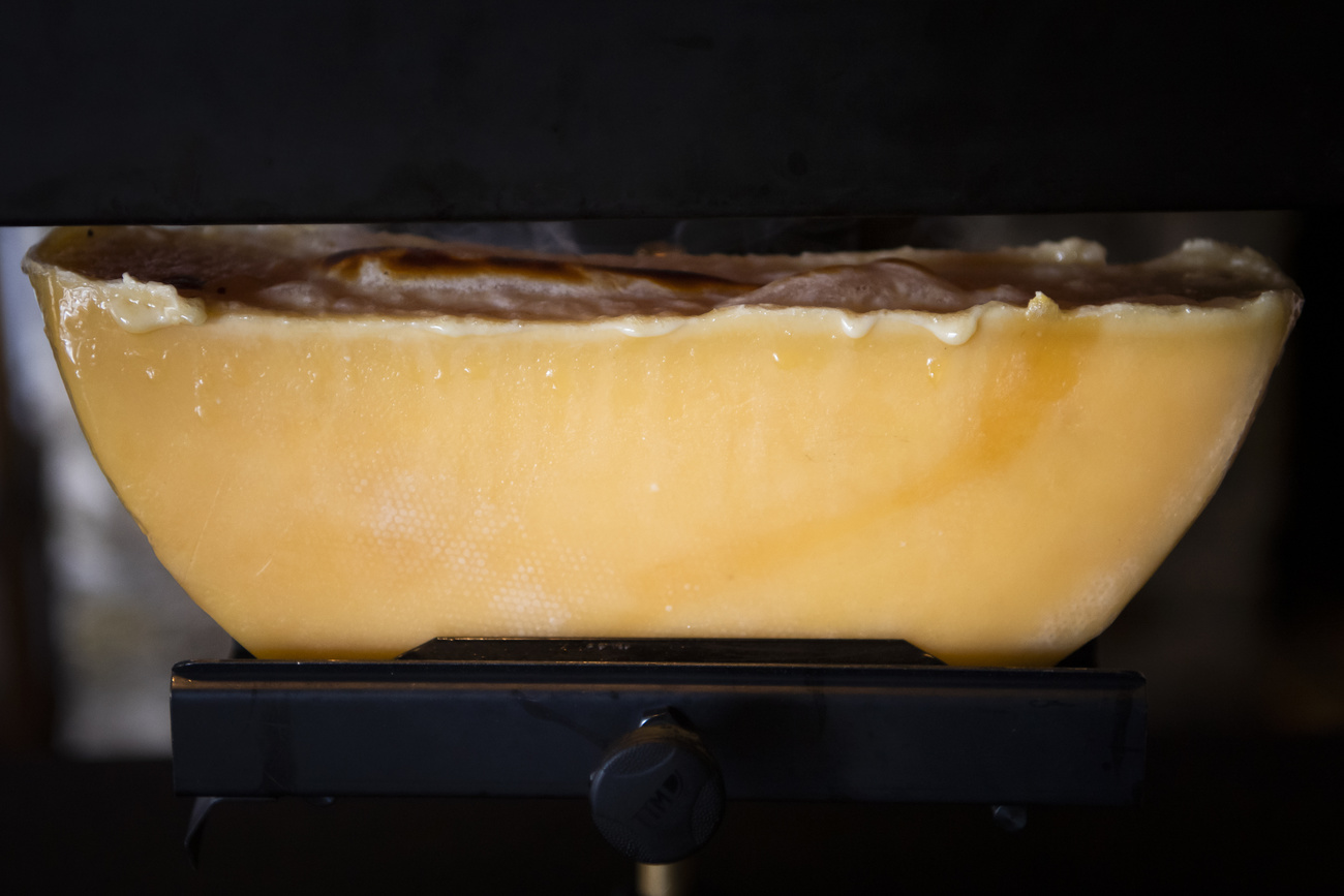 Une raclette en préparation