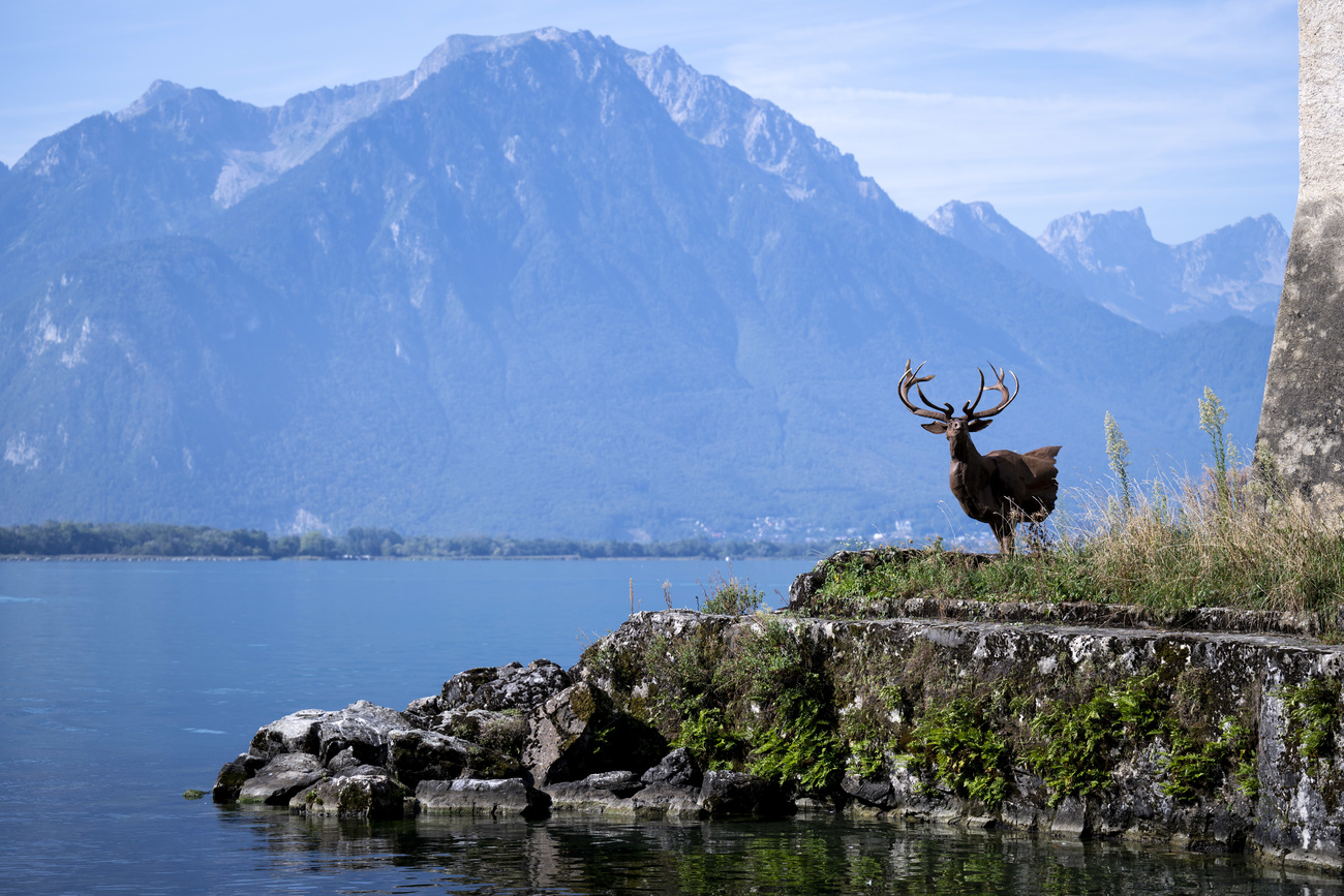 Lake with mountains