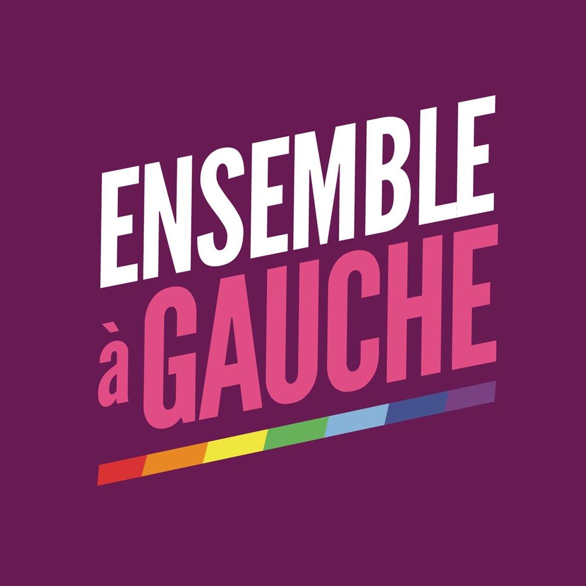 Logo Ensemble a Gauche