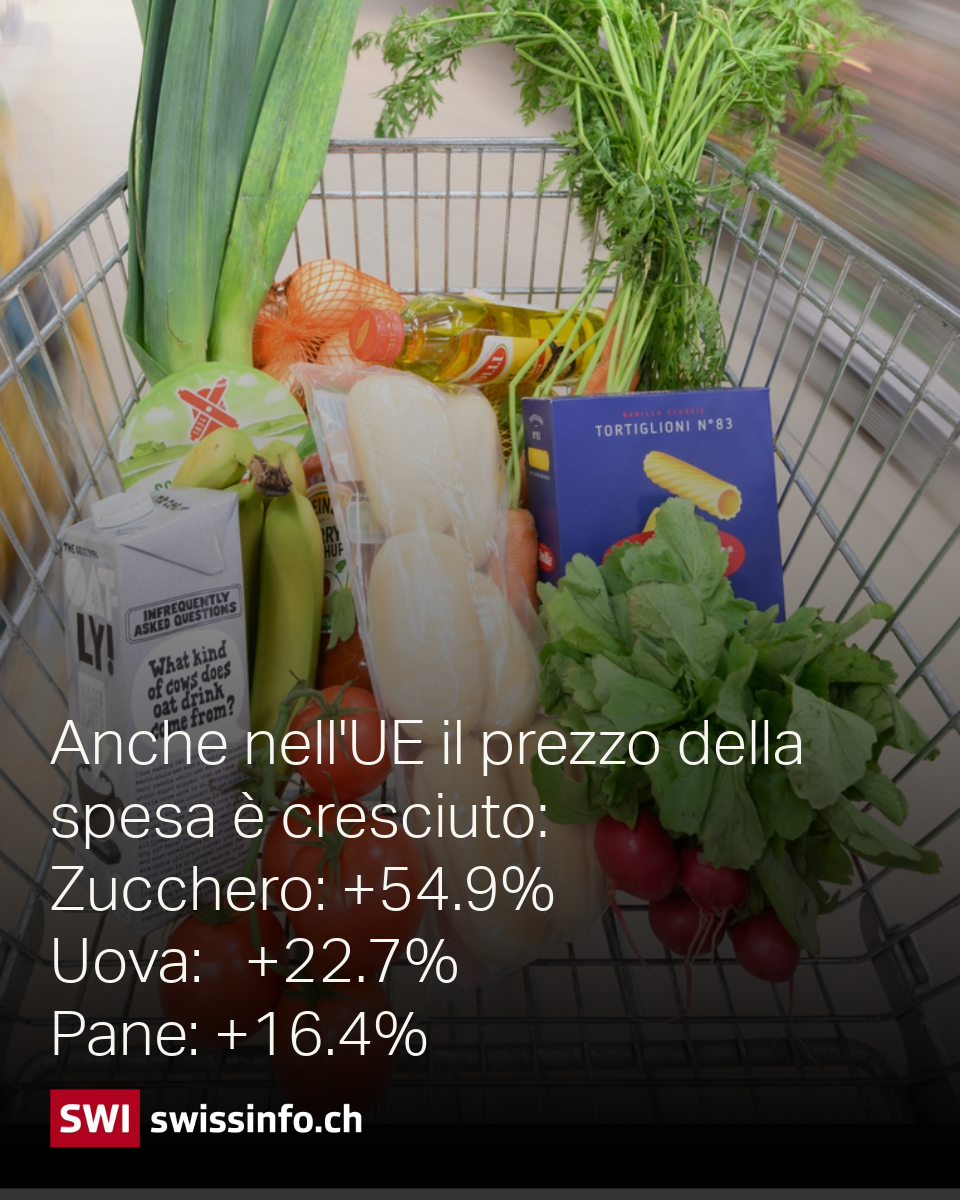 Carrello della spesa