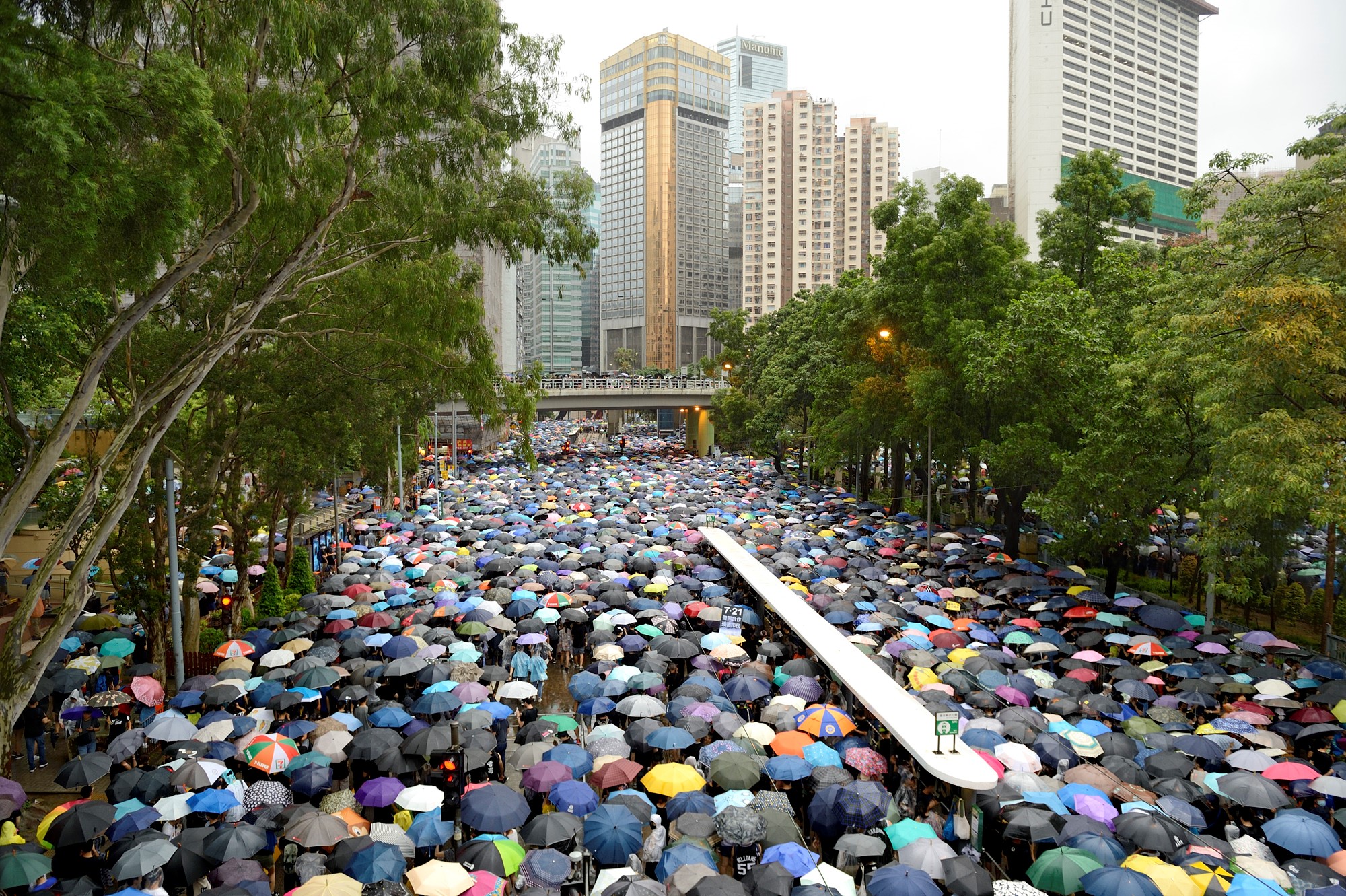 foule de manifestants sous des parapluies