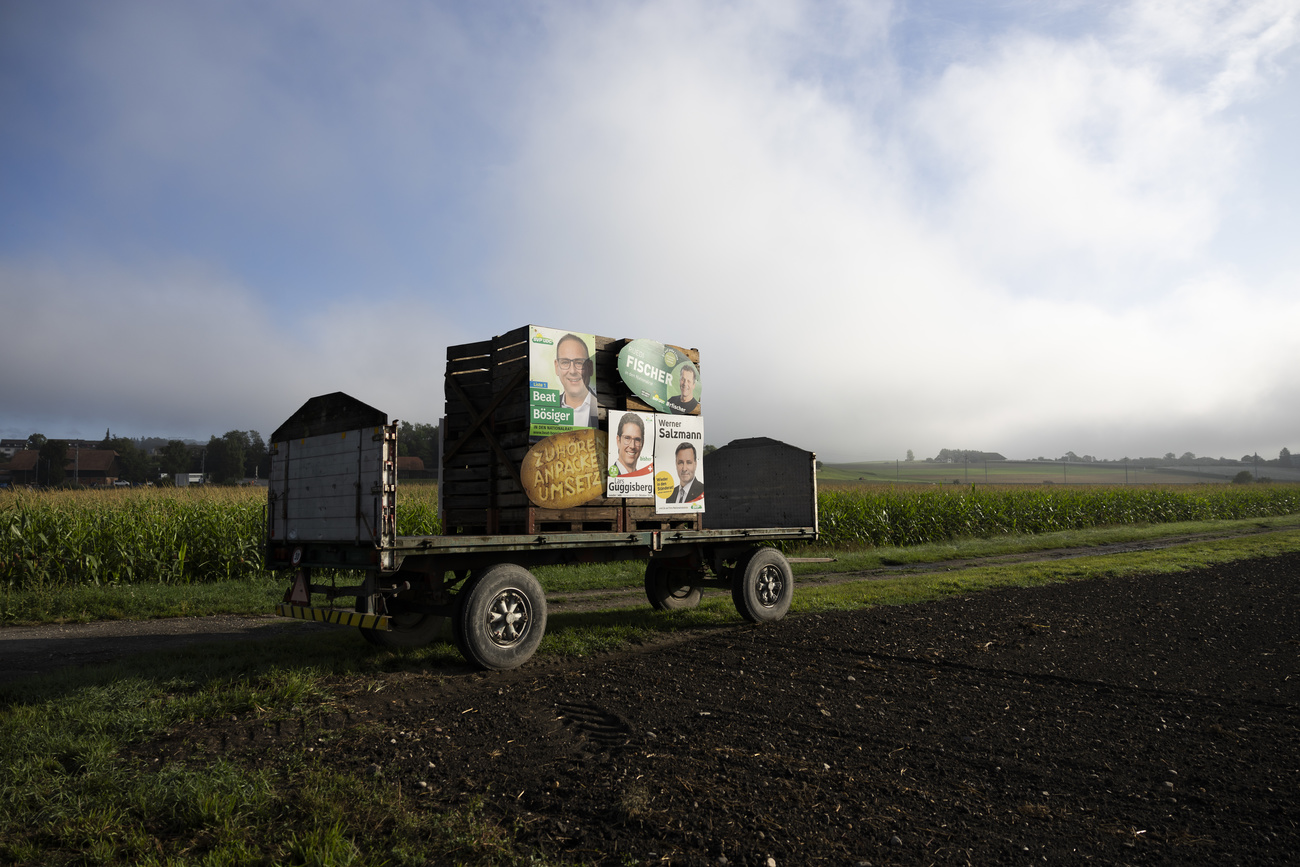 Election posters in a field