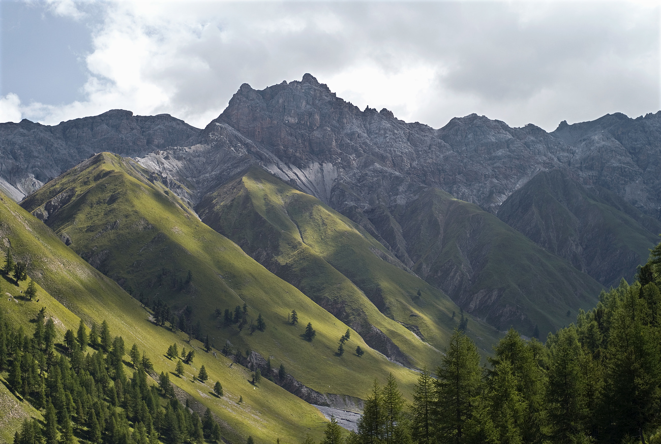 Vue sur le Parc national suisse