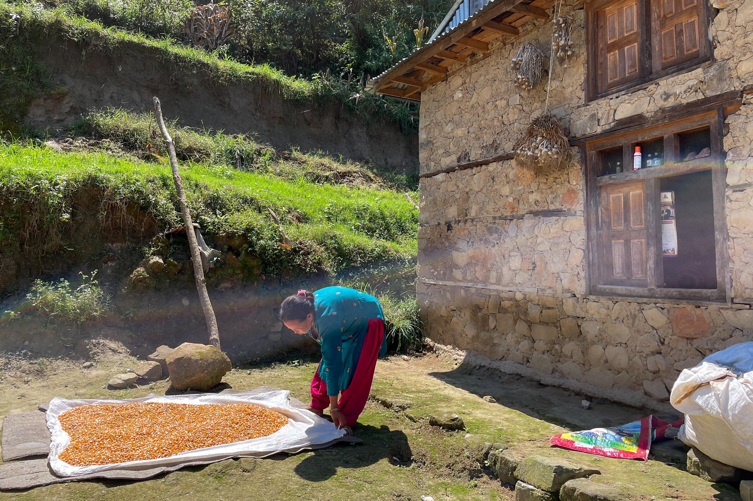 Suntali Tamang egt im Garten ihres Hauses ein Tuch mit Maiskörnern aus