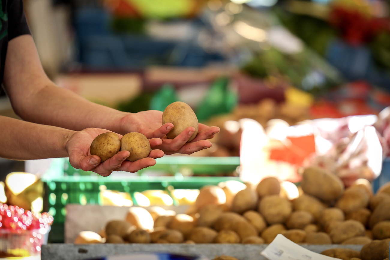 batatas